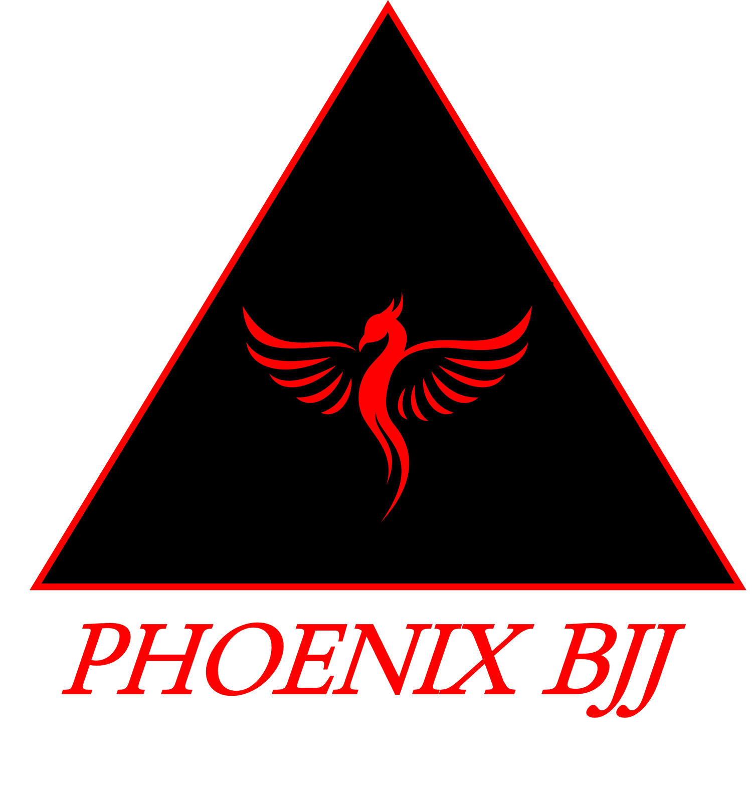 Phoenix BJJ Brazilian Jiu Jitsu Martial Arts School logo